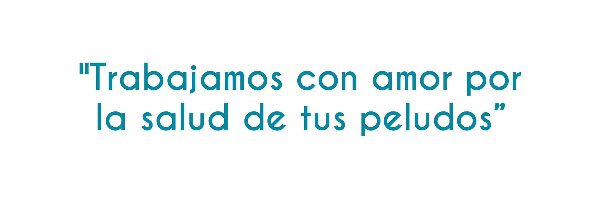 Slogan